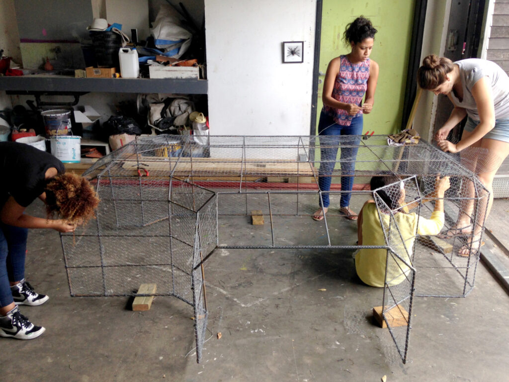 Abri à tortue en construction