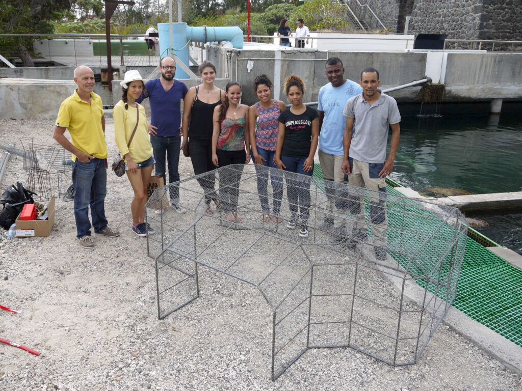 Avant immersion à Kelonia