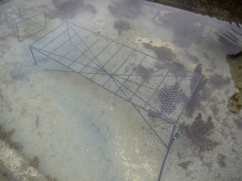 Squelette de banc immergé