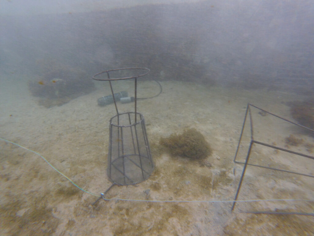 Structure de vase immergée